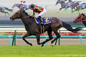 mirco demuro duramente