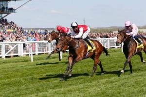 Redstart fred darling