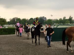 wordless zanoletti di rozzano