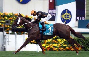 able friend champions mile3 moreira