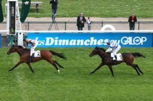 cirrus des aigles ganay