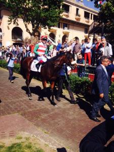 cleo fan presidente rep rispoli