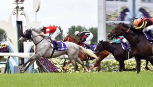 gold ship tenno sho spring