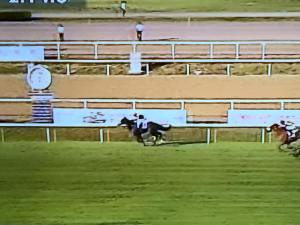 goldstream derby 2015