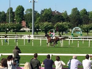 joyful hope mario incisa