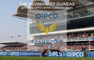 Newmarket-Guinea qipco