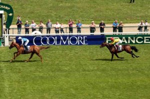 queen's jewel saint alary