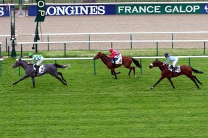 war dispatch de guiche