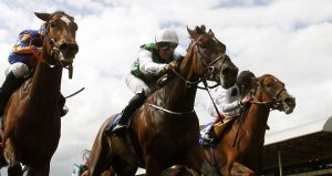 diamondsandrubie pretty polly stakes