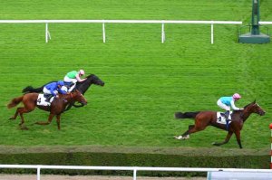 epicuris criterium saint cloud