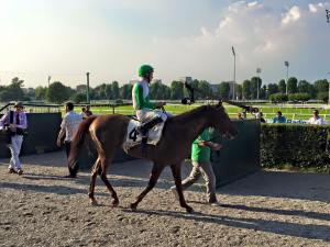 falest bersaglio 2015