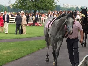 FULL OF BEAUTY OAKS 2015