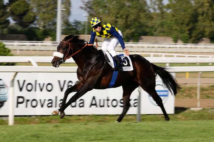 goldstream derby 2015.2