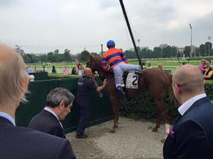 hingol premio dell'avvenire 2015