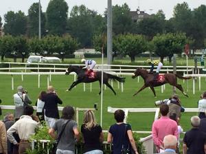 kaspersky vittadini 2015.2