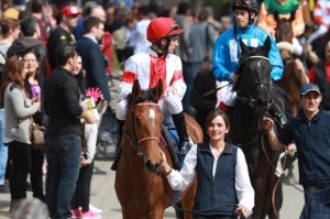 lovelyn grosser hansa preis