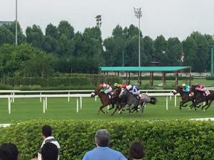 lovelyn joyful hope full of beauty reset in blue oaks 2015