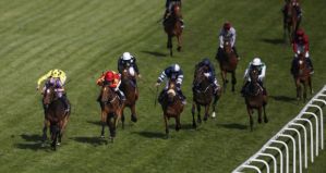 qualify oaks 2015