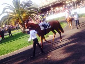 sound of freedom regina elena 2015.3