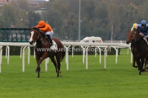 testa o croce castello sforzesco 2014