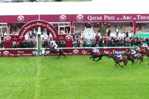treve arc2014