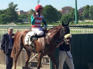 joyful hope colombi incisa