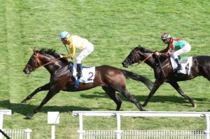 son cesio ris-orangis