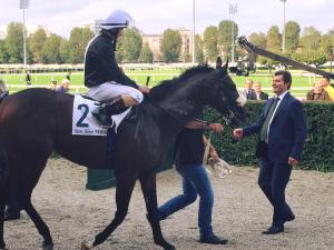 brex drago fassati 2015