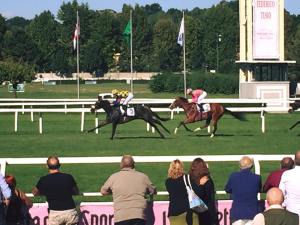 dry your eyes coolmore 2015