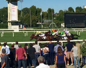 gamgoom cancelli 2015