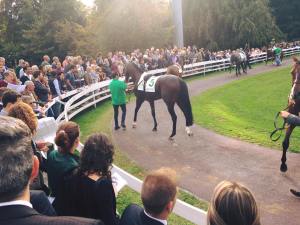 kaspersky di capua 2015