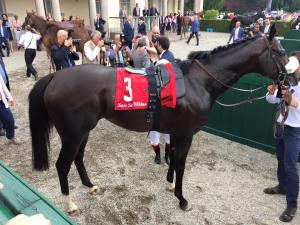 kaspersky vittadini 2015