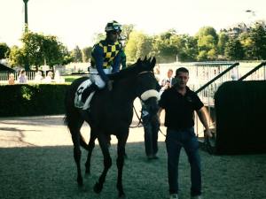 reset in blue bessero