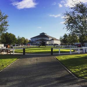 tattersalls ireland