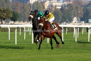 time chant campobello