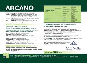 arcano2off