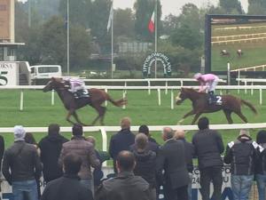 biz heart gran crit.2