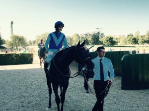 catalina bay eupili 2015