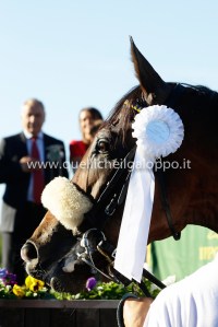 dylan mouth premiazione tesio 2