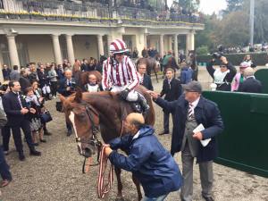 fiocchi biz heart gran crit.1