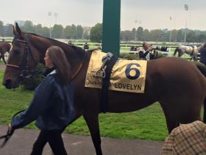 lovelyn jockey 2015.2