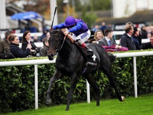 marcel rp trophy 2015