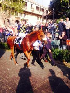 sound of freedom regina elena 2015.2jpg