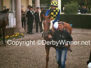 voice of love campobello 2015