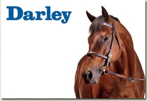 darley dubawi