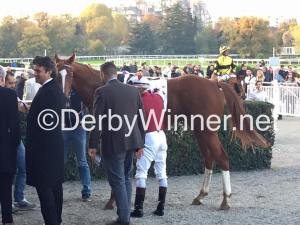 pensierieparole chiusura 2015