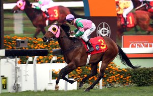 aerovelocity sprint cup 2016