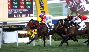 secret weapon centenary vase2016