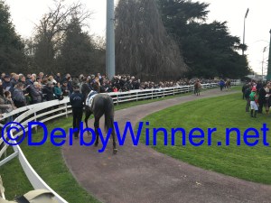 tondino sansiro 130316