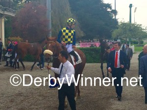 circus couture ambrosiano 16.4